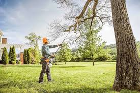 Best Lawn Mowing  in Whitwell, TN