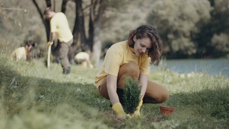 Best Lawn Renovation and Restoration  in Whitwell, TN